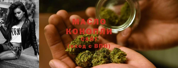 индика Горно-Алтайск