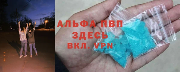 индика Горно-Алтайск