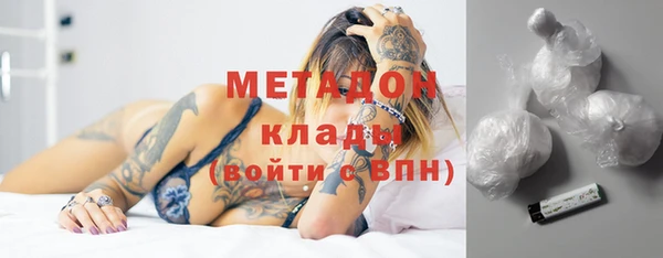 индика Гусев