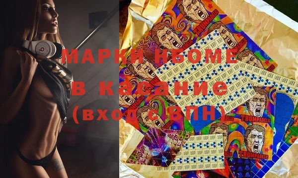 индика Гусев