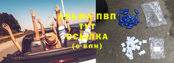 индика Горно-Алтайск