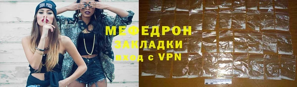 индика Гусев